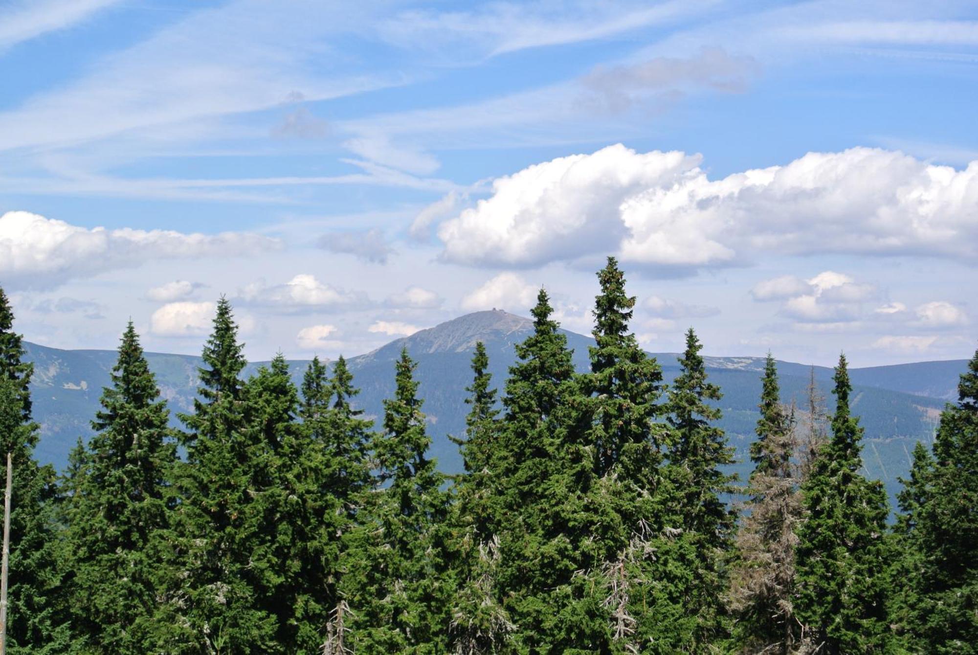 Pension Popelka Spindleruv Mlyn Bagian luar foto